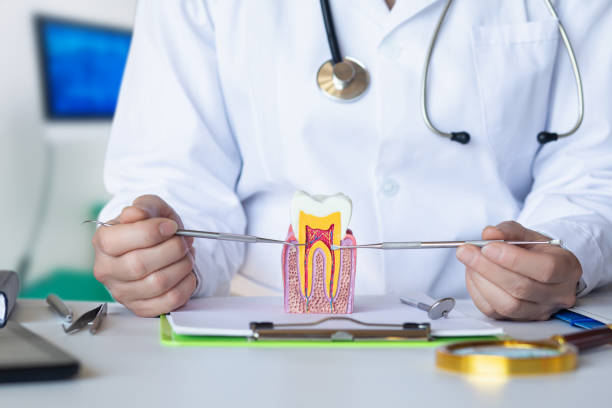 Best Urgent Tooth Repair  in Rockwood, TN